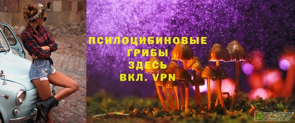 гашишное масло Аркадак